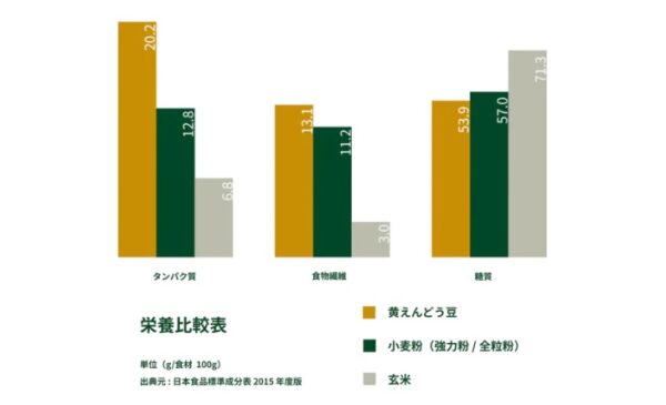 ゼンブヌードル体験