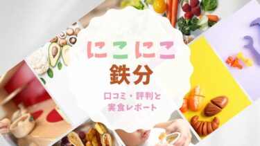 にこにこ鉄分の口コミ・評判は？おすすめできる人・できない人を詳しく評価！