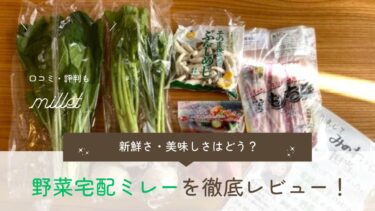 野菜宅配ミレーの評判まとめ！新鮮さ・安心さを口コミから徹底分析