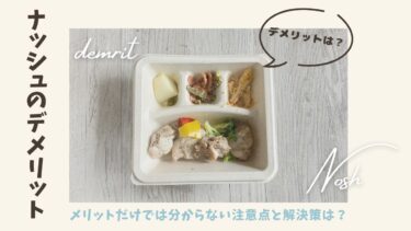 nosh（ナッシュ）のデメリットは？メリットだけでは分からない注意点と解決策