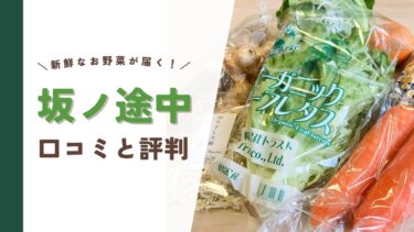 坂ノ途中の口コミと評判はどう？実際に頼んで分かった野菜の品質をレビュー！