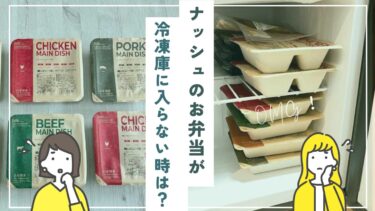 ナッシュが冷凍庫に入らない時は？おすすめの解決策を紹介！