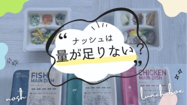 ナッシュは量が足りない？少ないと感じる時の解決策を紹介！